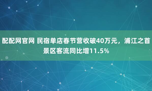 配配网官网 民宿单店春节营收破40万元，浦江之首景区客流同比增11.5%