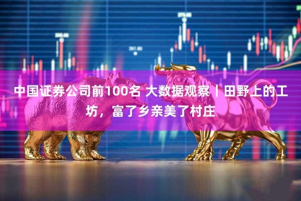 中国证券公司前100名 大数据观察｜田野上的工坊，富了乡亲美了村庄